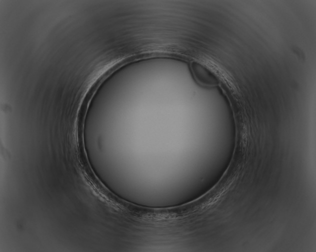 X0000090710884200708031431