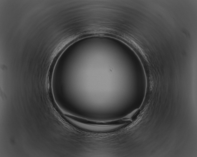 X0000090710885200708031431