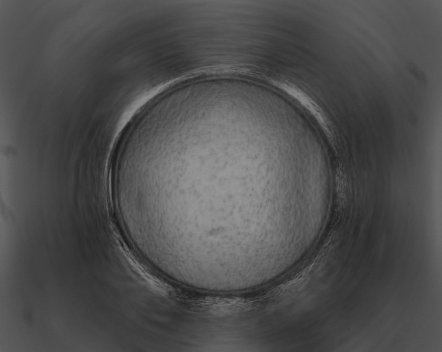 X0000090710886200708031431