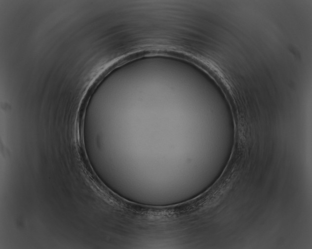 X0000090710887200708031431