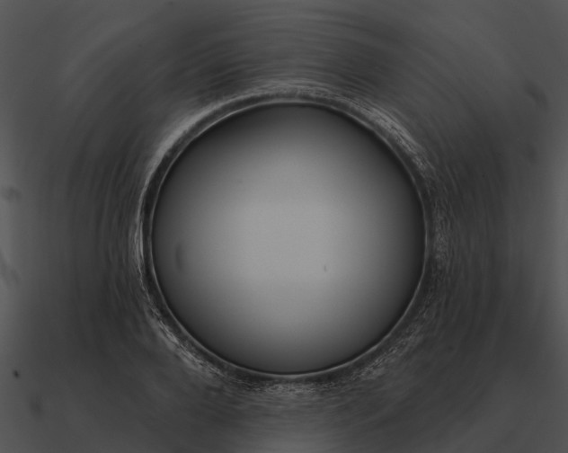 X0000090710888200708031431