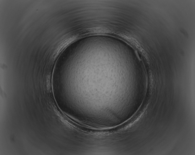 X0000090710889200708031431