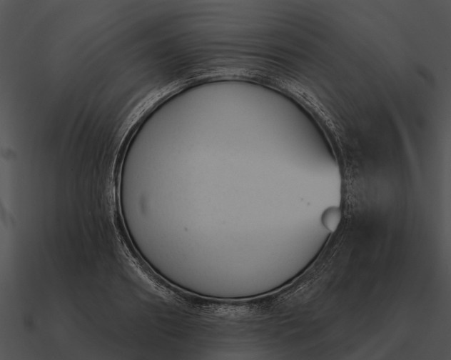 X0000090710890200708031431