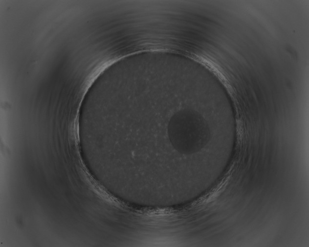 X0000090710891200708031431