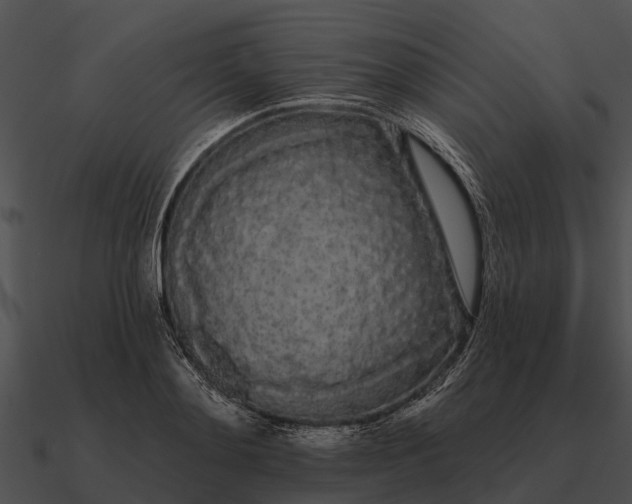 X0000090710892200708031431