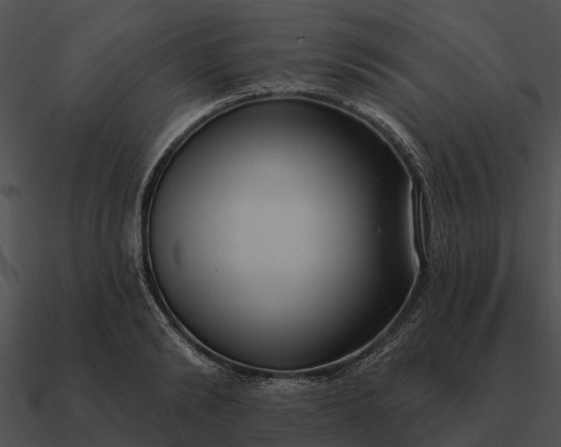 X0000090710894200708031431