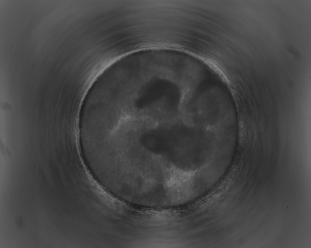 X0000090710895200708031431