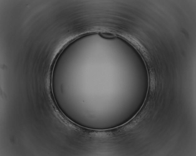 X0000090710896200708031431