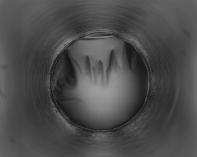 X0000090710898200708031431