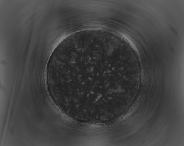 X0000090710899200708031431