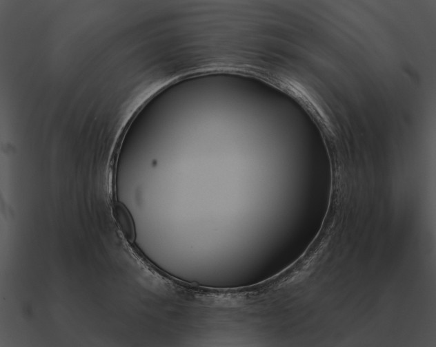 X0000090710900200708031431