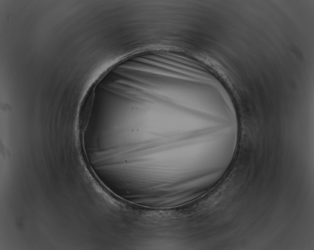 X0000090710902200708031430