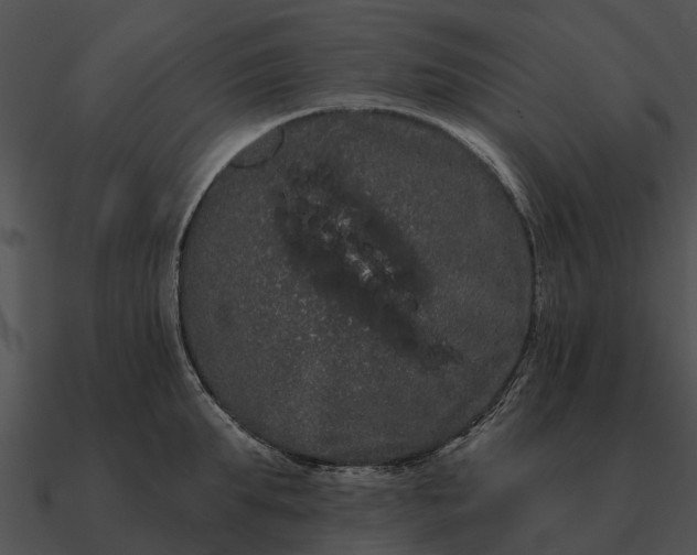 X0000090710903200708031430