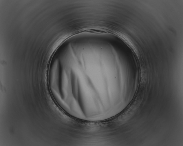 X0000090710906200708031430