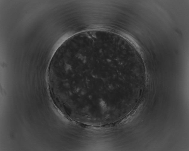 X0000090710907200708031430