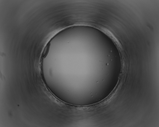 X0000090710908200708031430