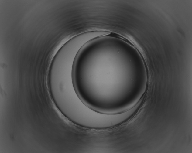 X0000090710909200708031430