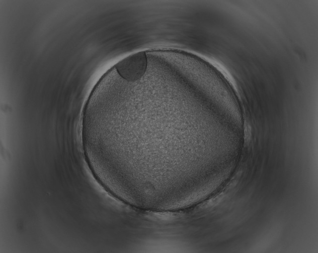 X0000090710911200708031430