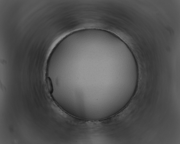 X0000090710912200708031430