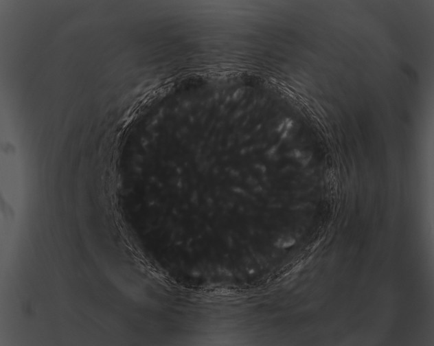 X0000090710913200708031430