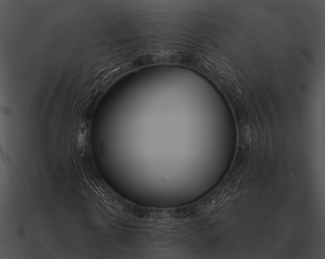 X0000090710914200708031430