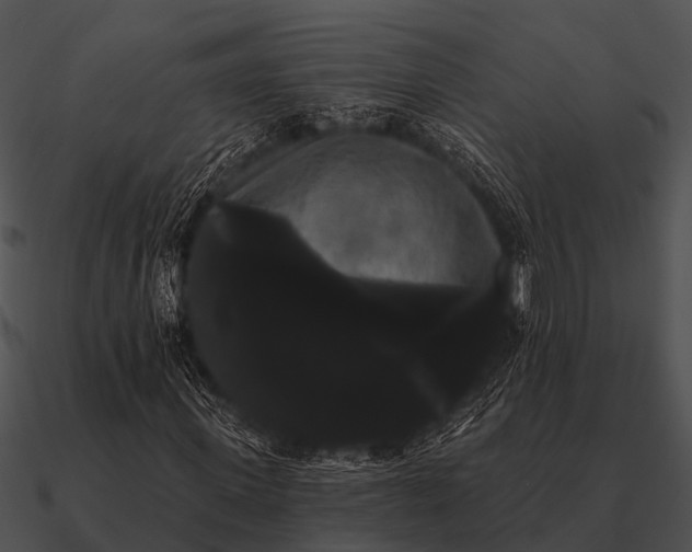 X0000090710915200708031430