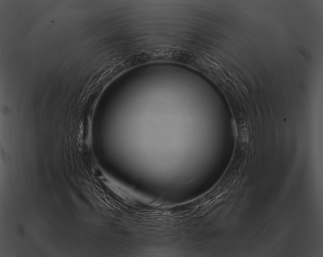 X0000090710916200708031430