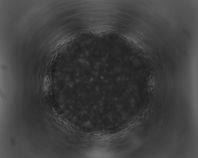 X0000090710917200708031430