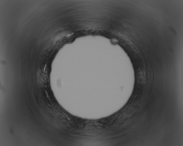 X0000090710918200708031430