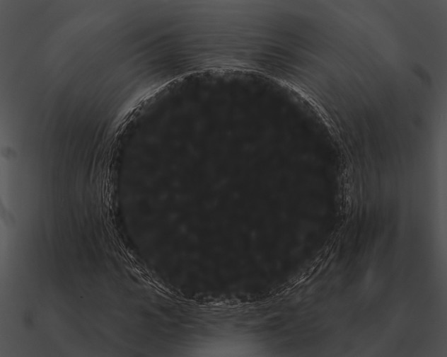 X0000090710919200708031430