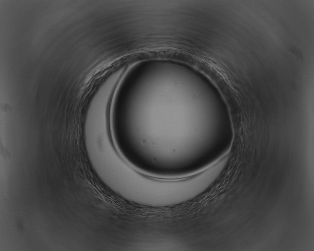 X0000090710920200708031430