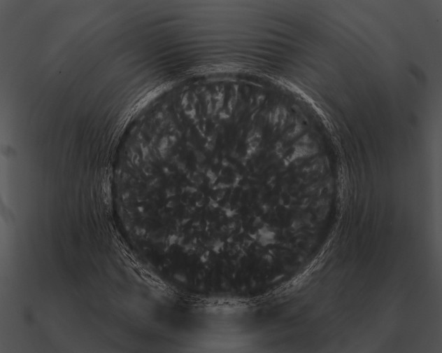 X0000090710921200708031430