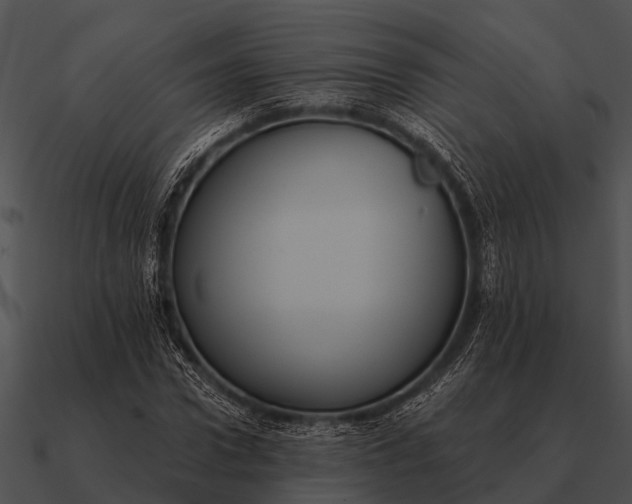 X0000090710922200708031430