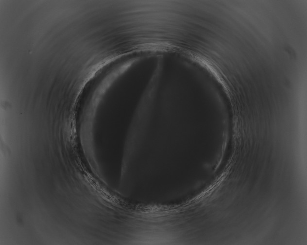 X0000090710923200708031430