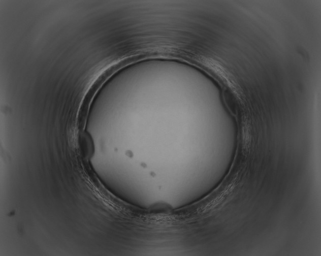 X0000090710924200708031430