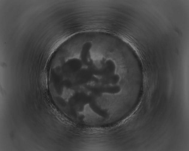 X0000090710925200708031430