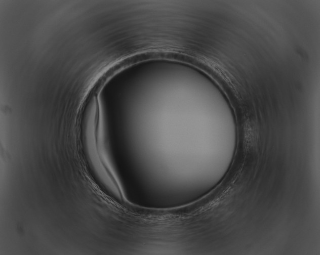 X0000090710926200708031430