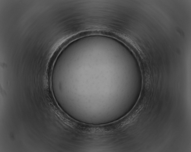 X0000090710927200708031430