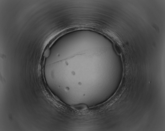 X0000090710928200708031430