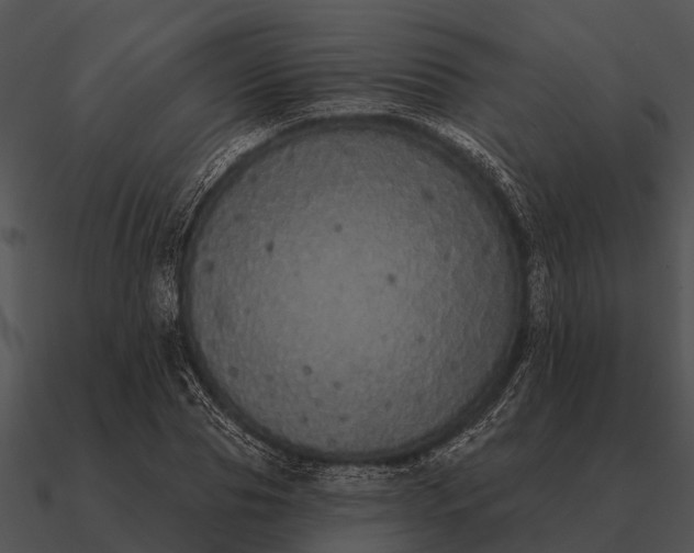 X0000090710929200708031430