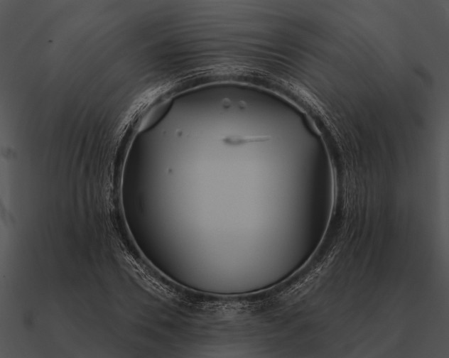 X0000090710930200708031430