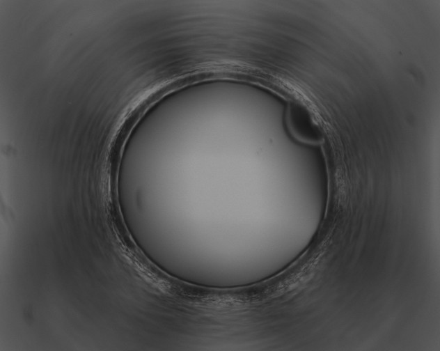 X0000090710931200708031430