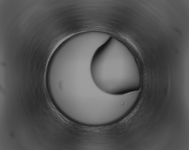 X0000090710932200708031430