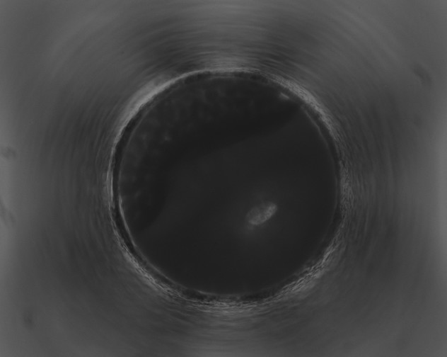 X0000090710935200708031430