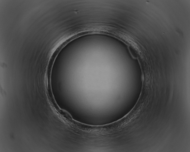 X0000090710936200708031430