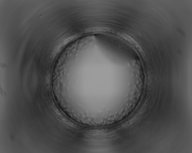 X0000090710937200708031430