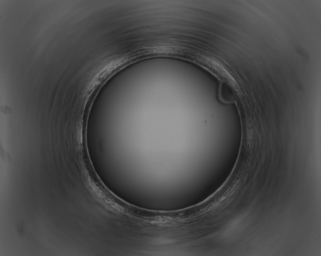 X0000090710938200708031430