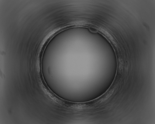 X0000090710939200708031430