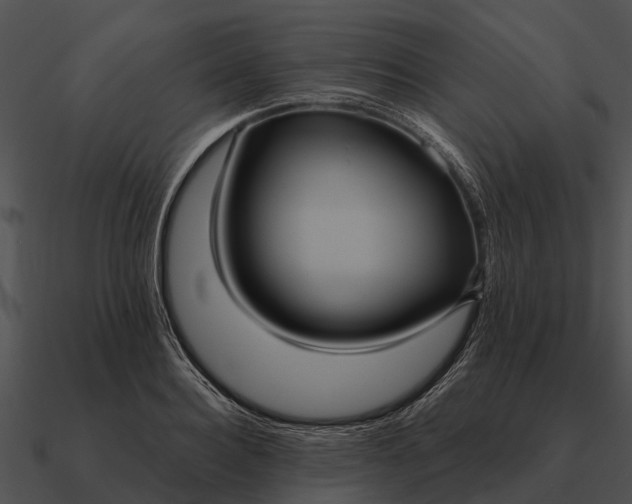 X0000090710940200708031430