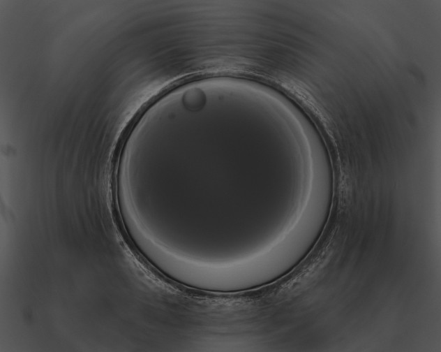 X0000090710941200708031430